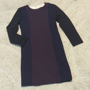 Sandro Color Block Dress